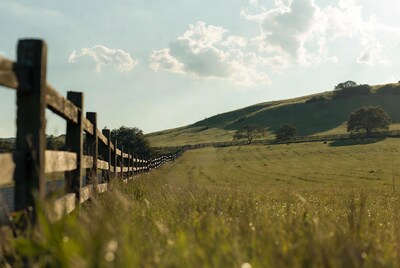 Wooden fence along green hillside meadow