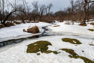 Icy stream in snowy winter forest