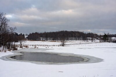 Frozen Pond in Snowy Field