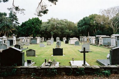 Cemetery with tombstones and trees