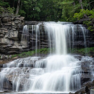Waterfall cascading over rocks in forest