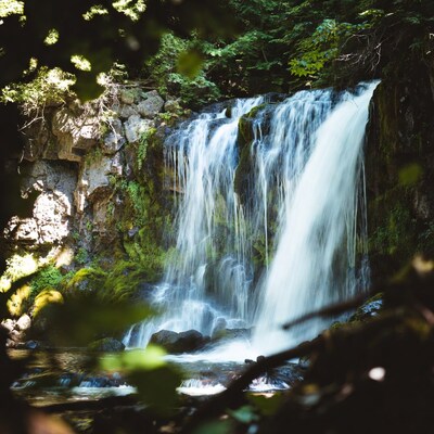 Waterfall in Mossy Forest