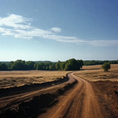Dirt Road Through Dry Grassland