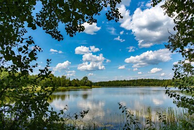 Lake framed by green leaves and trees