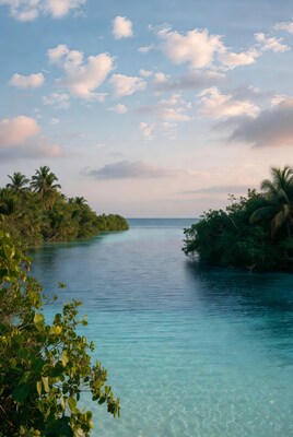 Turquoise Lagoon River Palm Trees
