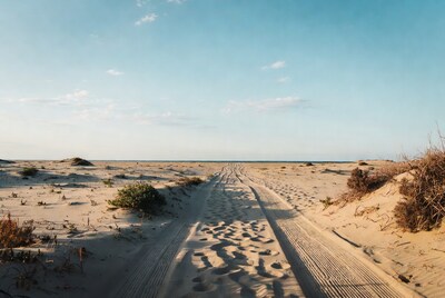 Sandy path to ocean on beach