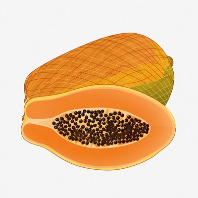 Sliced Papaya Fruit Illustration