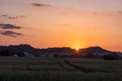 Sunset over wheat fields and hills