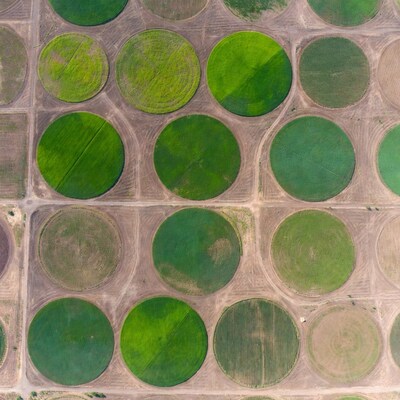 Aerial View of Circular Green Crop Fields