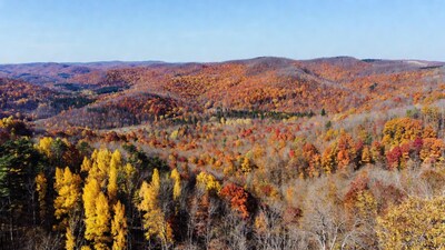 Autumn Fall Foliage Over Rolling Hills