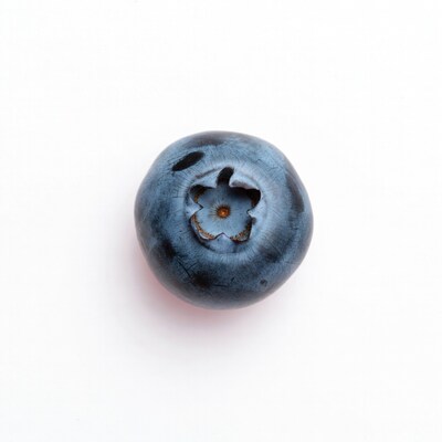 Single Blueberry on White Background