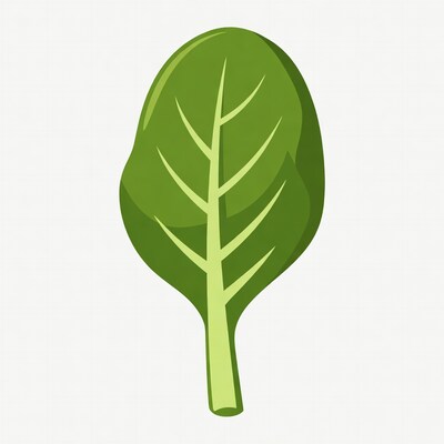 Spinach Leaf Illustration