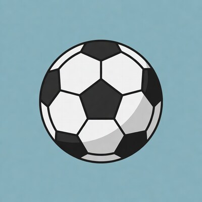 Black and white soccer ball illustration
