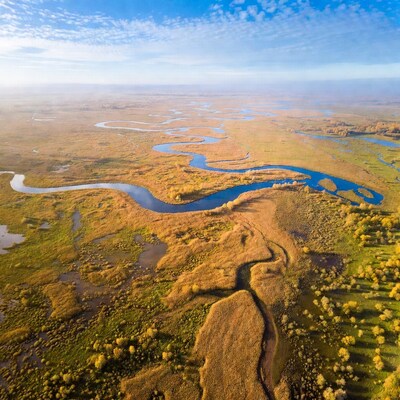 Aerial view of meandering rivers in wetlands