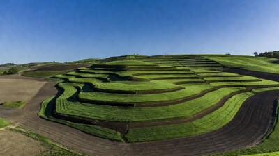 Terraced Green Rice Fields Hillside