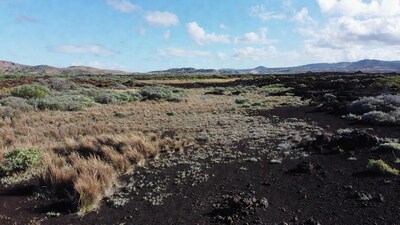 Volcanic Landscape with Grass and Lava