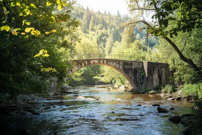 Stone Arch Bridge over Forest River