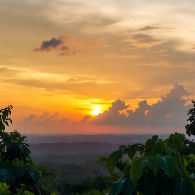 Sunset over tropical jungle rainforest