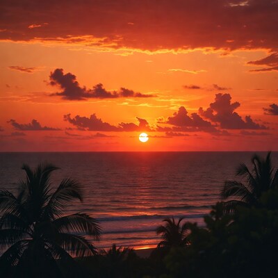 Sunset over ocean with palm trees