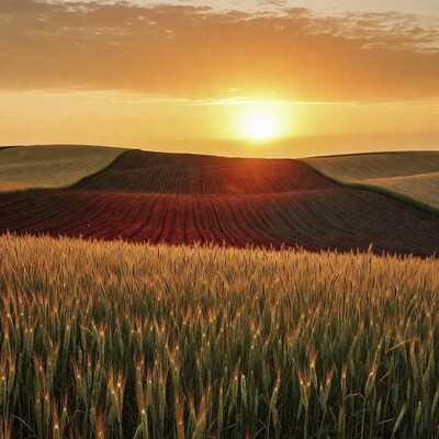 Sunset over colorful farmland fields