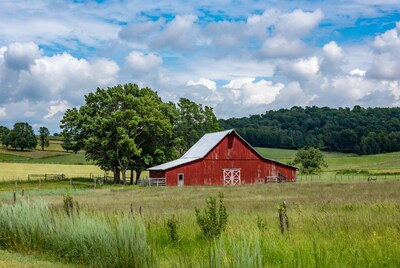 Red Barn in Grassy Field