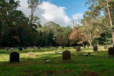 Forest cemetery with gravestones and cross