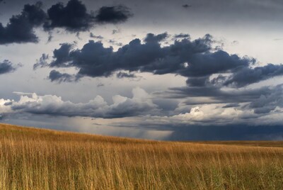Stormy clouds over golden grass field