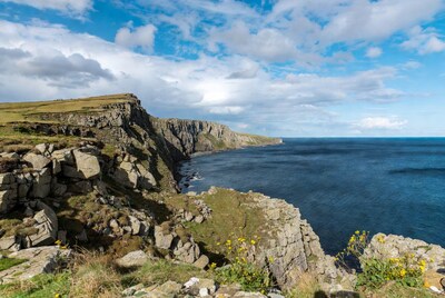 Dramatic Sea Cliffs with Yellow Flowers