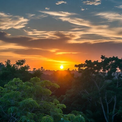 Sunset over tropical forest