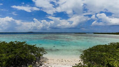 Tropical Lagoon with Coral Reef and Mangroves