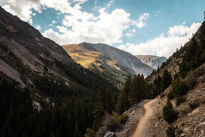 Mountain Trail in Forest Valley