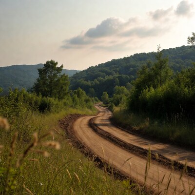 Curvy dirt road through green forest hills