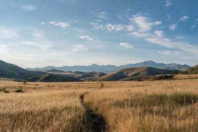 Path through golden grass with mountains