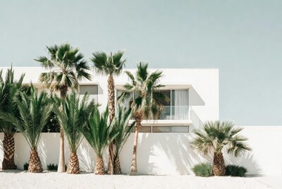 White modern house with palm trees