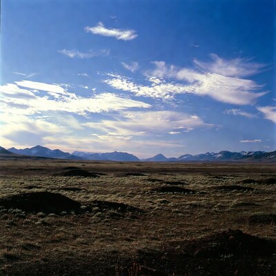 Snowy Mountains over Tundra Plains