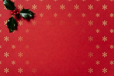 Holly berries on red snowflake paper