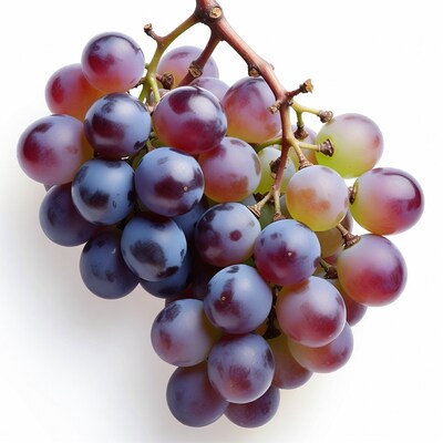 Bunch of purple red grapes