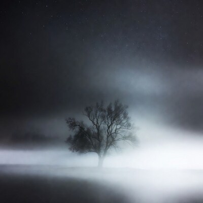 Lonely Tree in Foggy Night Sky