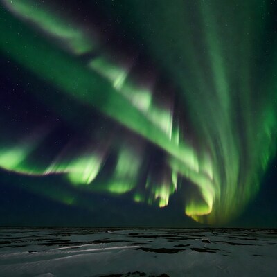 Northern Lights over Snowy Tundra