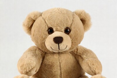Cute brown teddy bear