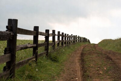 Wooden fence along dirt path