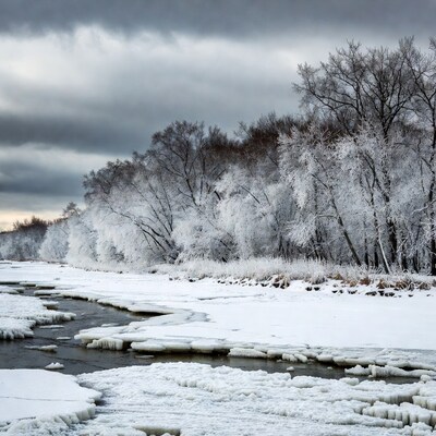 Frosty Trees Along Icy River