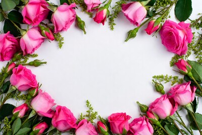 Pink Roses Heart Border