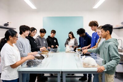 Students handling rabbits in classroom