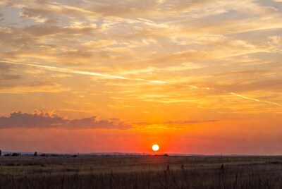 Sunset over grassy field