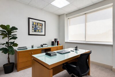 Modern empty office desk with plant