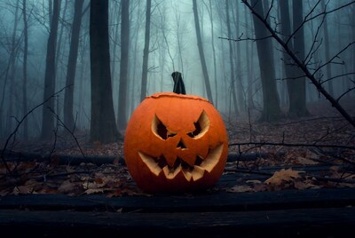 Jack-o-lantern in foggy forest