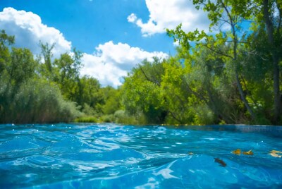 Clear river water with green trees