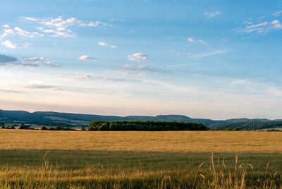 Golden wheat field with mountains