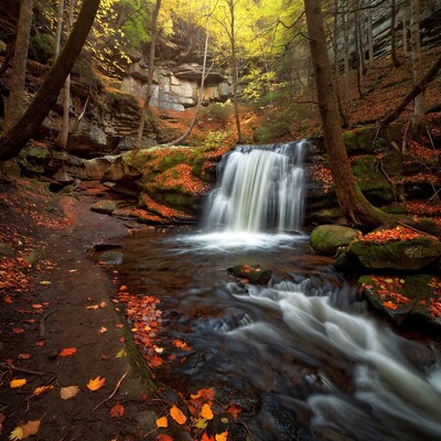 Autumn Waterfall in Forest Gorge